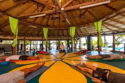 New Body and Mind - Activities